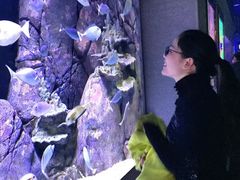 -成都浩海立方海洋公园