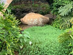 -广州神农草堂中医药博物馆
