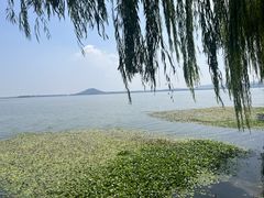 -湖滨客舍·湖北菜
