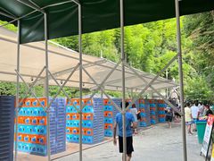 -将军关探险漂流