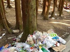 -武陵山森林公园