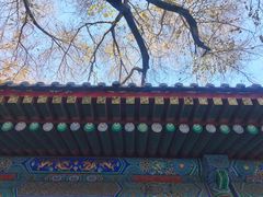 -法兴寺