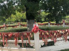-东台西溪天仙缘景区