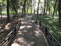 -大兴滨河森林公园