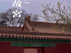 -故宫博物院(故宫)