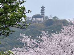 -苏州上方山国家森林公园