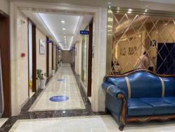 -碧莲盛·不剃发植发