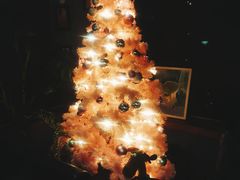 -咖法森林·咖啡  酒吧(天河店)