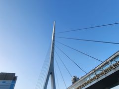 -台场海滨公园船码头