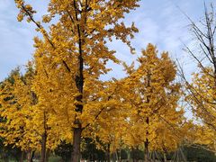 -重庆中央公园(渝北区)