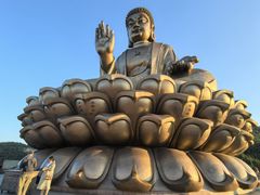 -龙口南山旅游景区