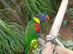 -南宫温泉水世界