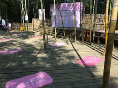 -宁波浙东大竹海景区