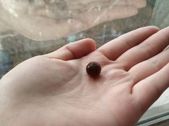 -茶太良品·北京特色茶饮(西站食宝街店)