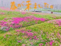 -洋湖国家湿地公园