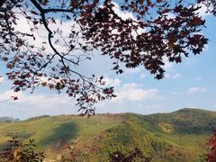 -龙道沟景区