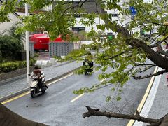 -常州糕团店(北大街新世纪商城店)