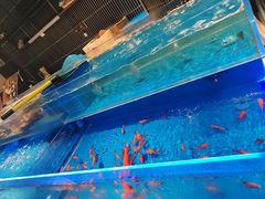 -海底捞火锅(长宁路龙之梦店)