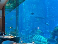 -亚特兰蒂斯•OSSIANO奥西亚诺海底餐厅