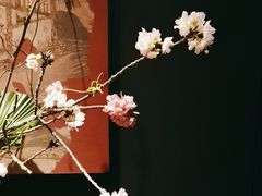 -蘇锦宴·淮扬菜烤鸭·小院(三元桥霄云路店)