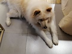 -肆兮眼镜·蔡司·徕卡战略合作店(大坪店)