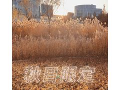 -中关村生命科学园