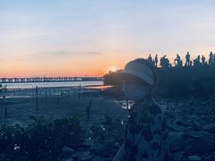 -宝安西湾红树林湿地公园