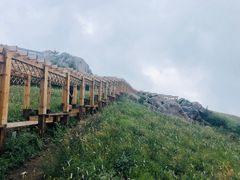 -白草畔自然风景区