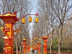 -洛阳市隋唐城遗址植物园