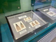 -上海昆虫博物馆