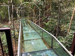 -七仙岭温泉国家森林公园