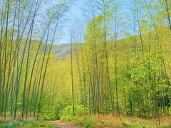 -山菜馆(竹海公园店)