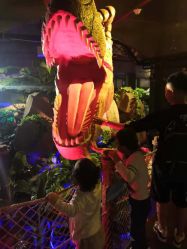 -恐龙探索乐园(磁器口店)