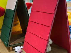 -帕帕拉兹宠物(亚洲旗舰店)