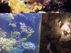 -南昌海洋公园
