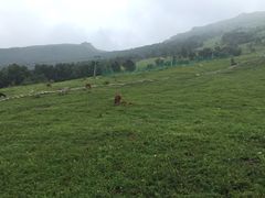 -北京灵山风景区