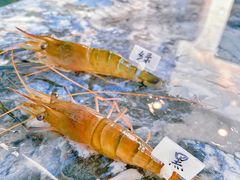 -SHRIMP CLUB万东餐饮钓虾·清吧