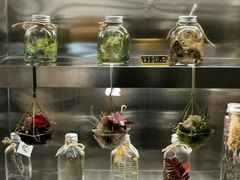 -植物学家的女儿(北马道巷店)