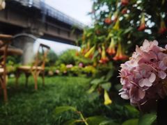 -云里小坐·小院里·团建·宴请·下午茶(三圣乡店)