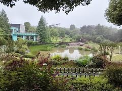 -铁山坪森林公园