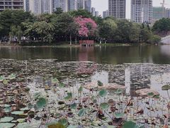 -映月湖公园