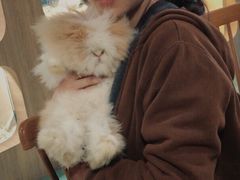 -藦茜花园宠物主题亲子互动体验馆(国顺东路店)
