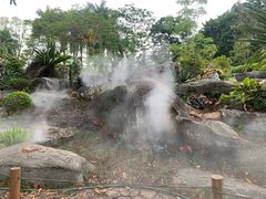 -东莞植物园