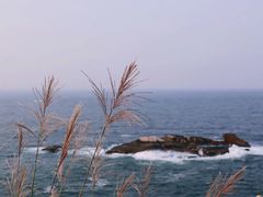 -东极岛景区