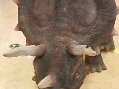 -汇金缪斯影城(八佰伴店)