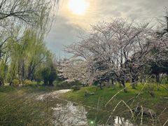 -堤角公园