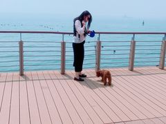 -东疆建设开发纪念公园