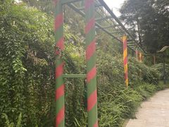 -成飞公园