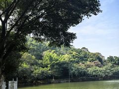 -西樵山风景名胜区-天湖公园