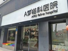 -御宝贝·A梦猫科宠物医院(国际猫友好医院)